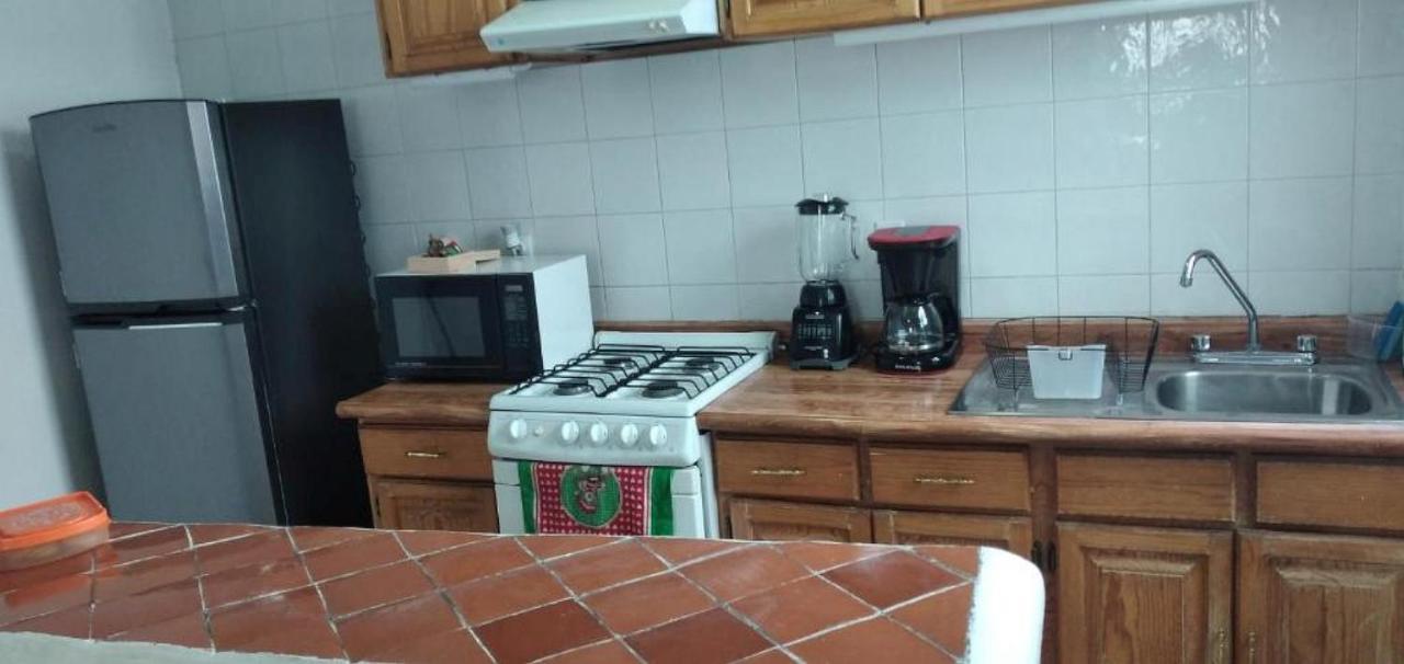 Apartment Del Centro Executive *